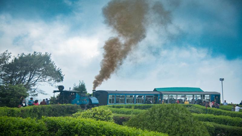 Darjeeling Travel Guide for First-Time Visitors Darjeeling Travel Guide for First-Time Visitors