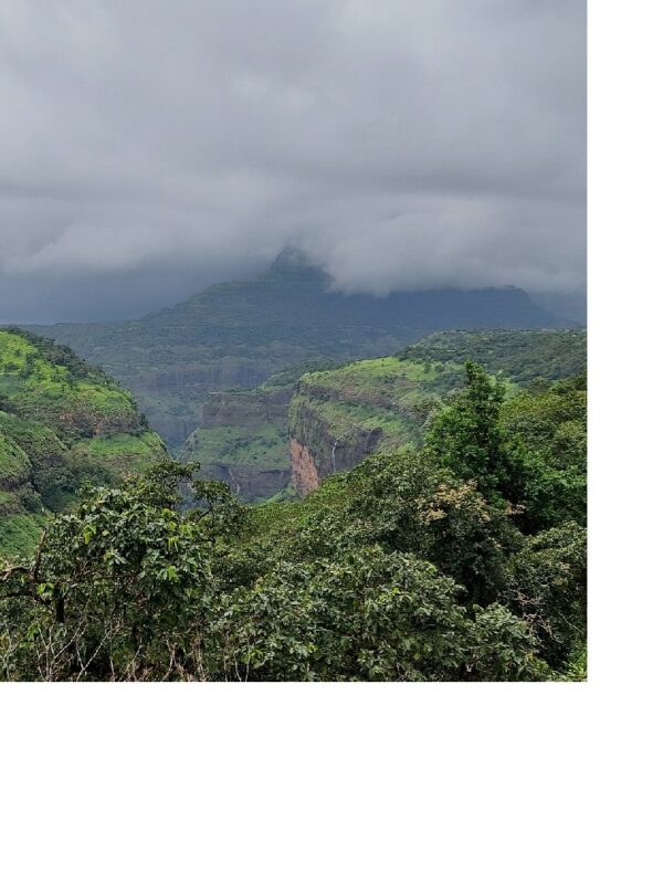 Tamhini Ghat